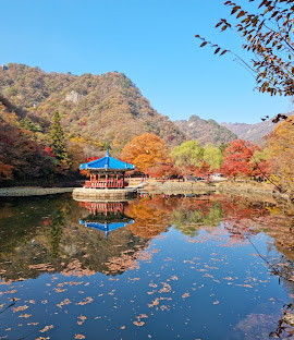가을엔 내장산 국립 공원 추천